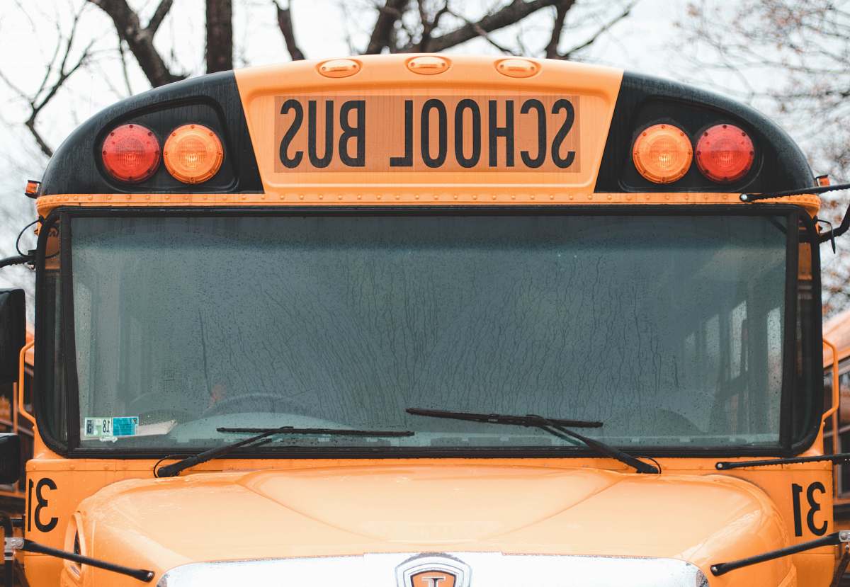 school bus macro photography of school bus transportation